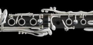 New Selmer Paris Signature Evolution Series Professional Clarinet in A