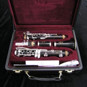 New Buffet Crampon R-13 Green Line Professional Bb Clarinet